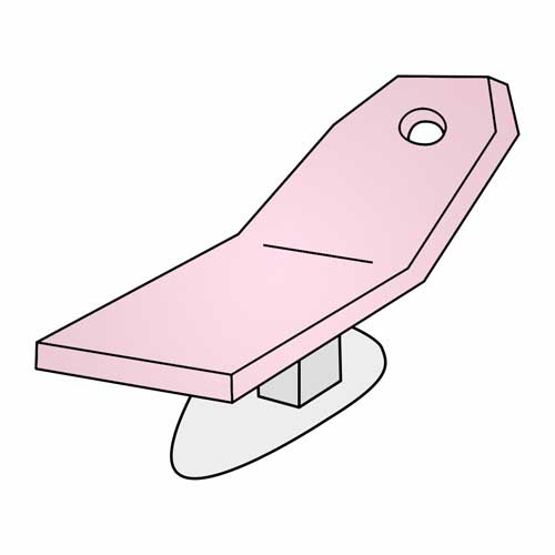 Rosa 41 (Rose)