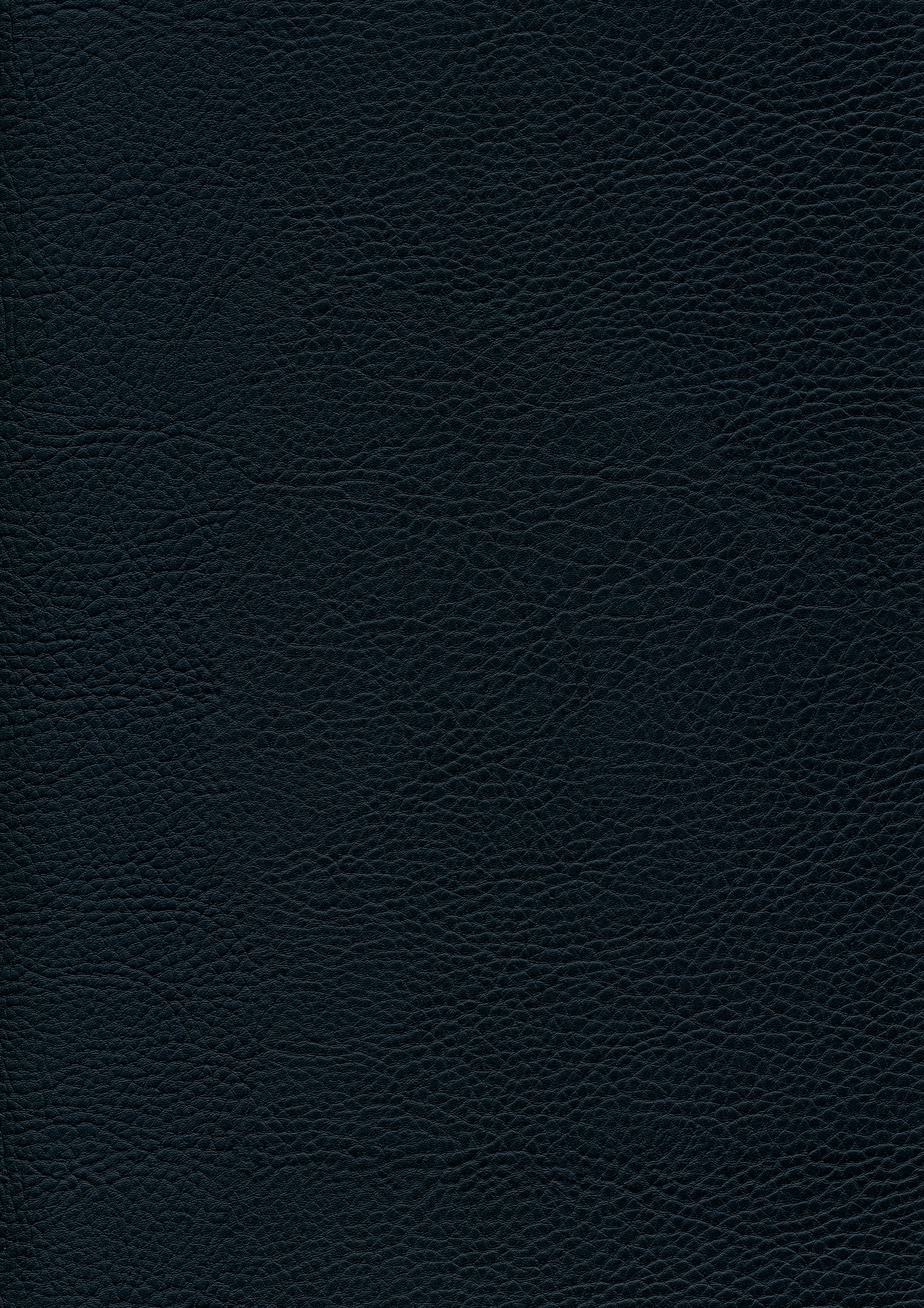 Panther Black