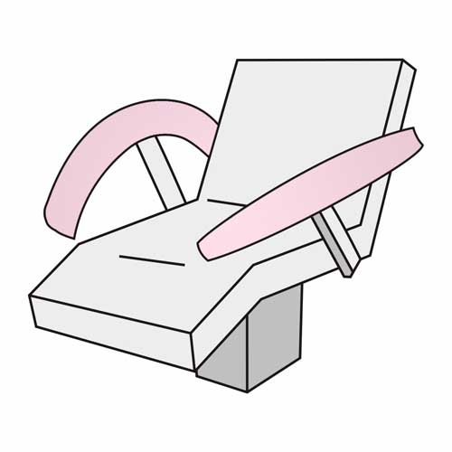 Rosa 41 (Rose)