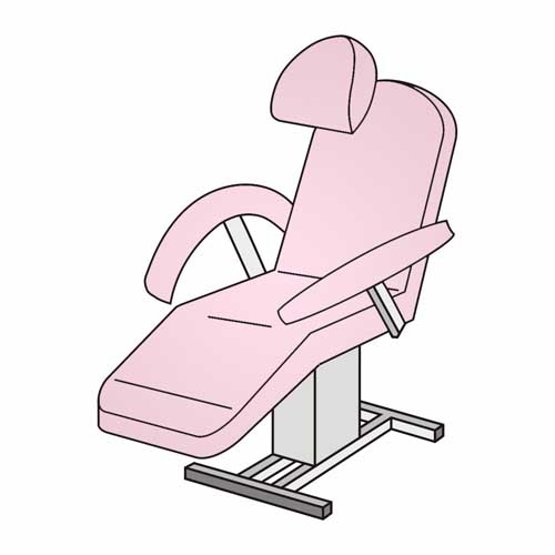 Rosa 41 (Rose)