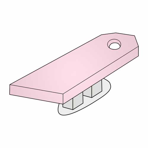 Rosa 41 (Rose)