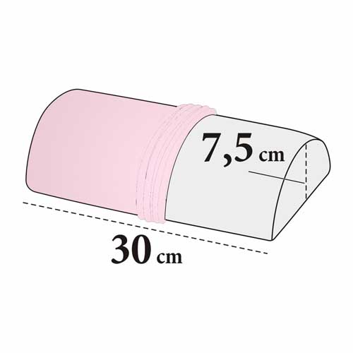 Rosa 41 (Rose)