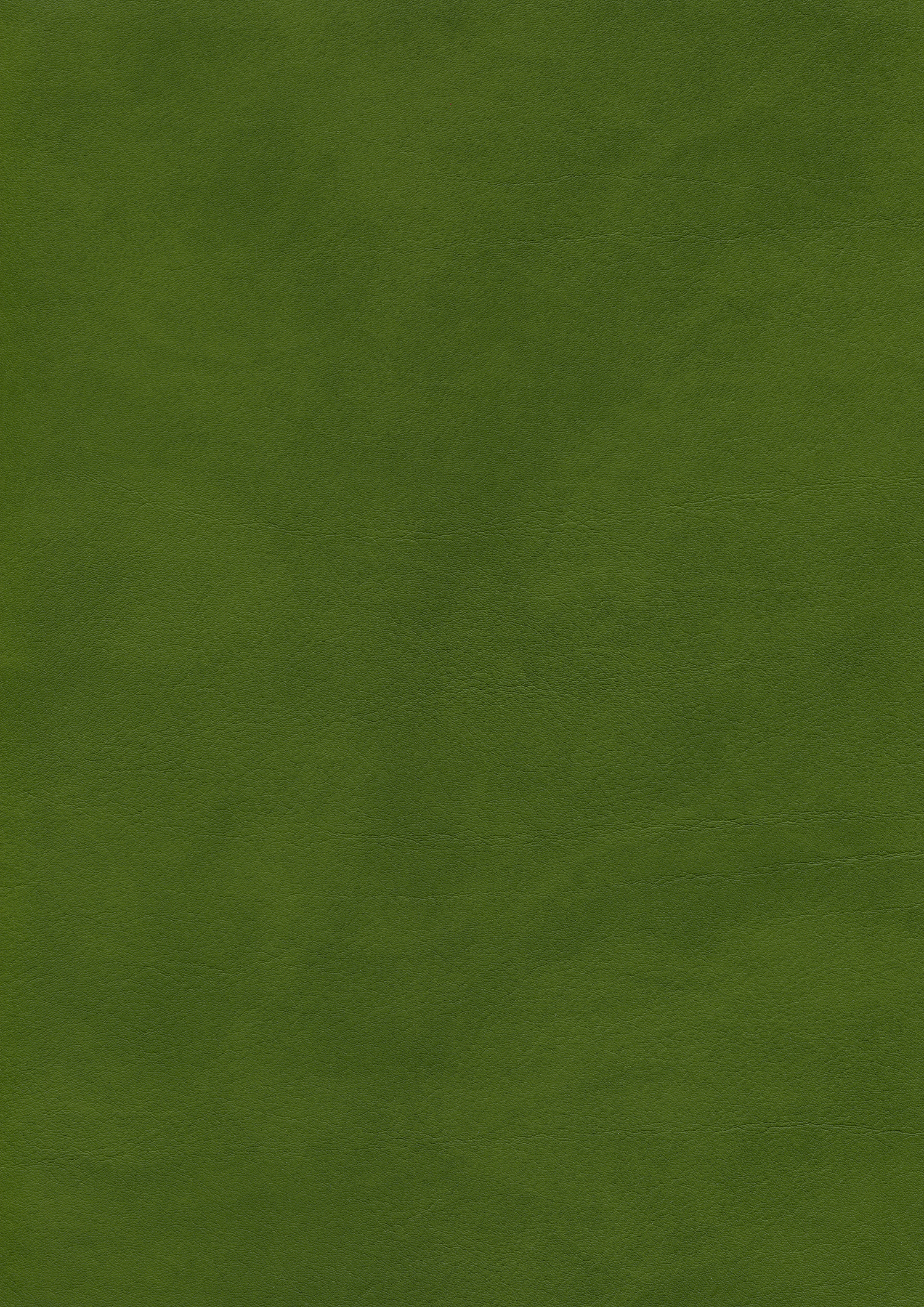 Mountain Moss