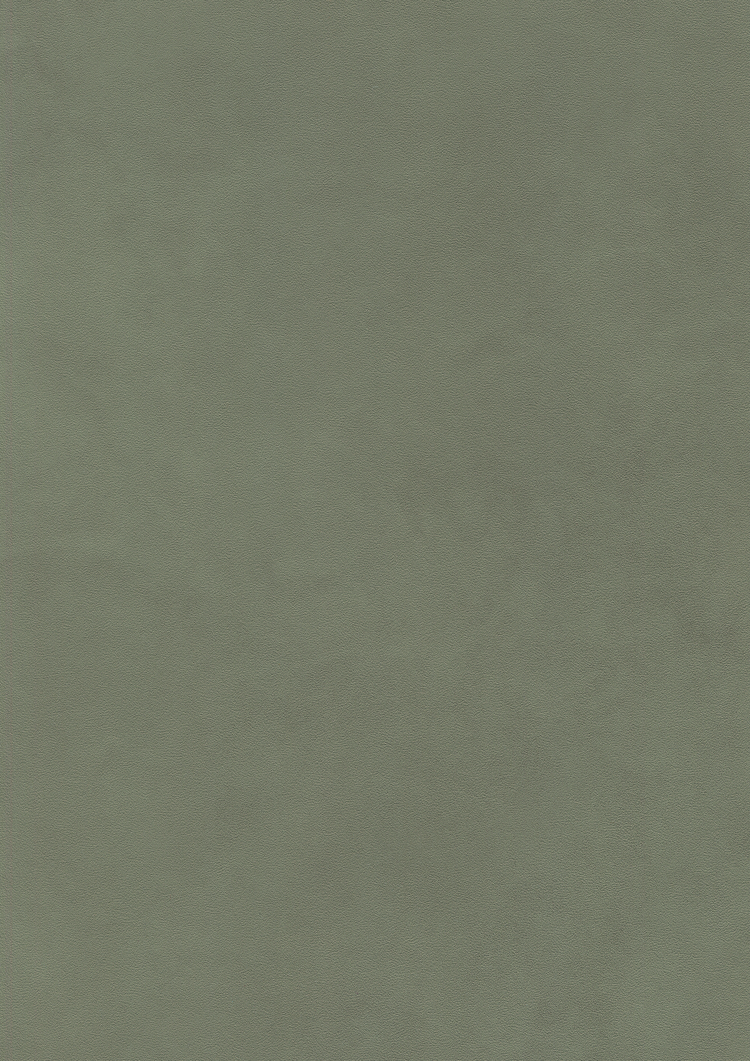 Birch