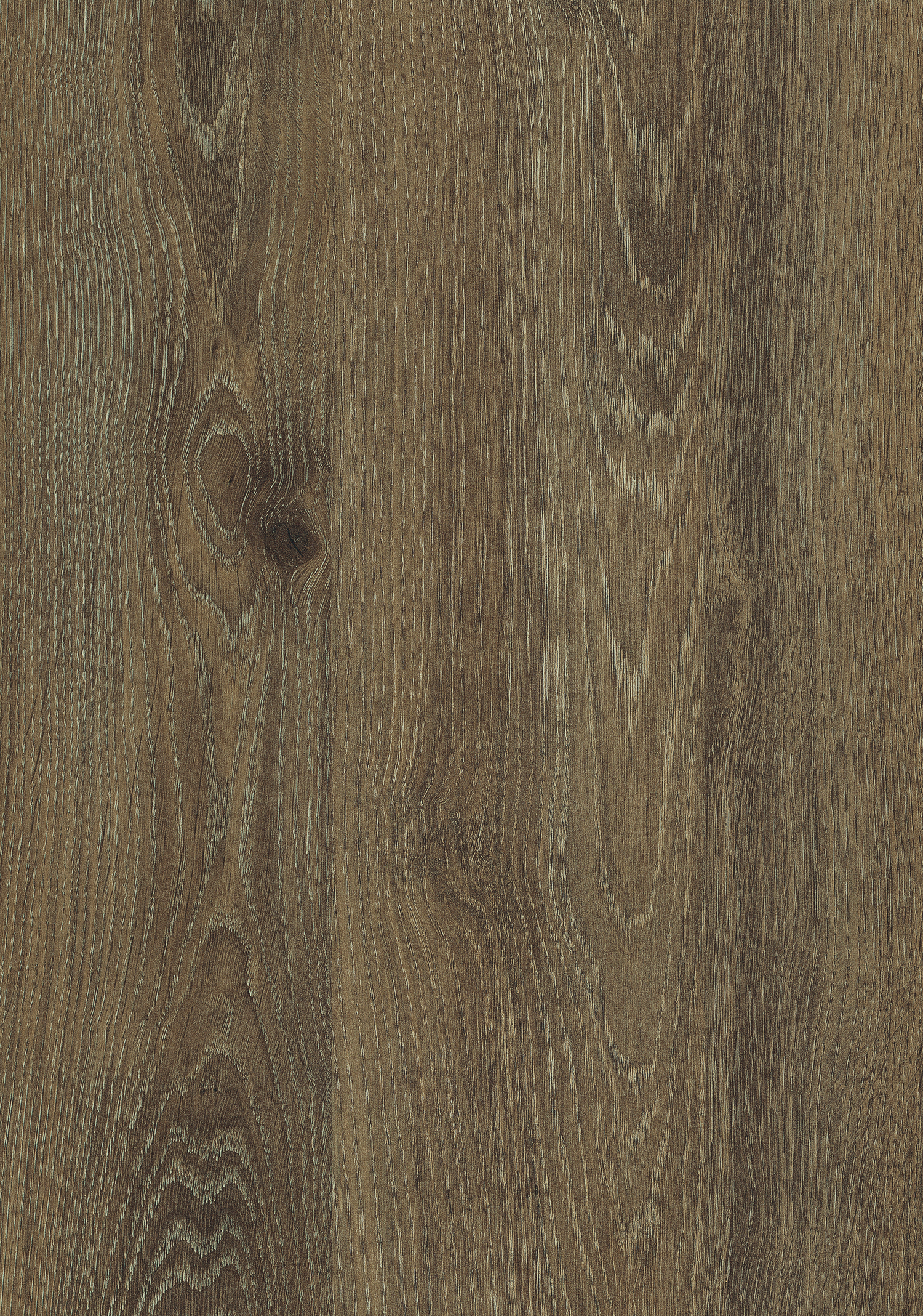 Truffle Oak