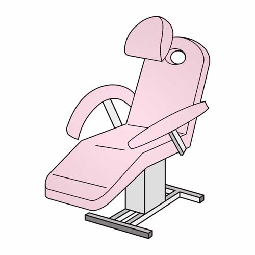 Rosa 41 (Rose)