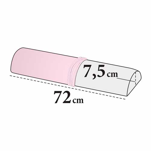 Rosa 41 (Rose)