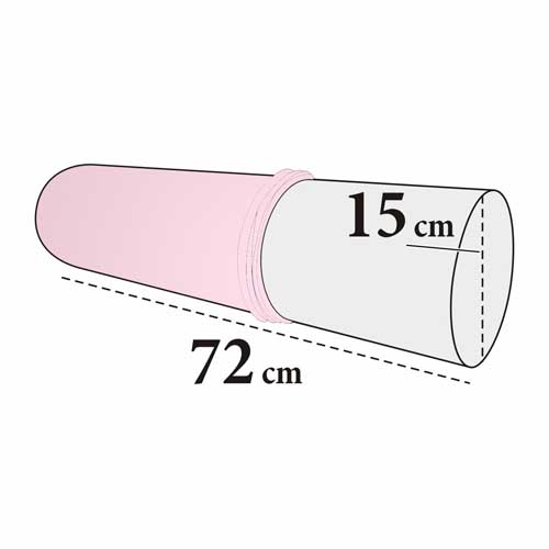 Rosa 41 (Rose)