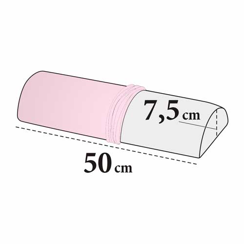 Rosa 41 (Rose)