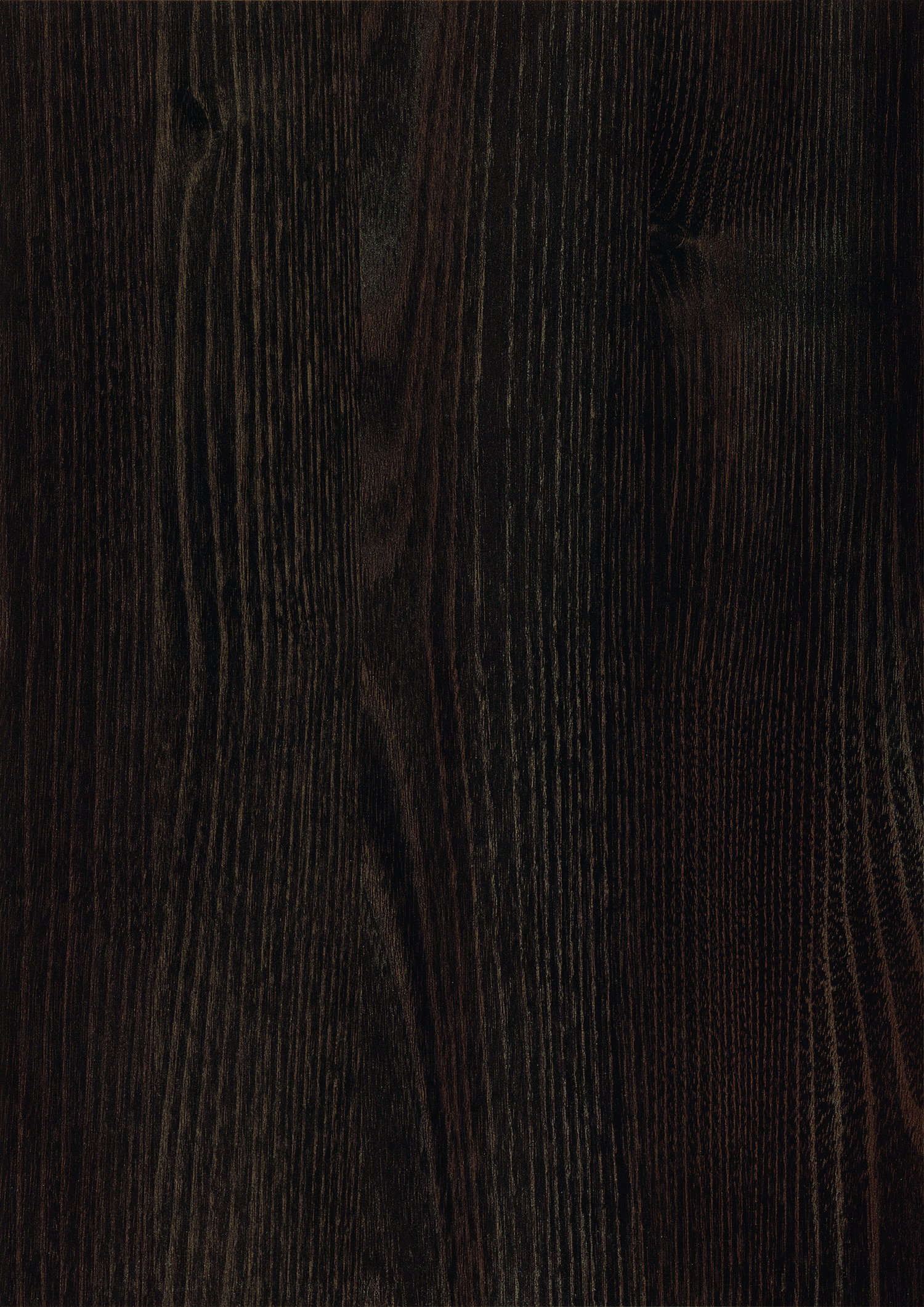 Bonobo Oak