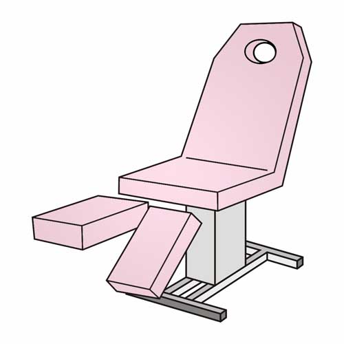 Rosa 41 (Rose)
